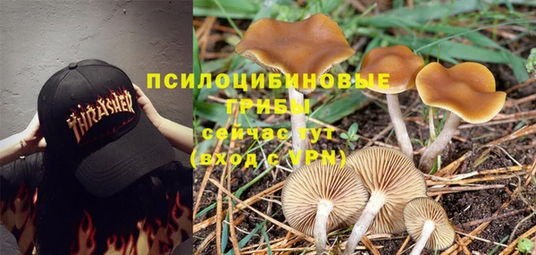 стафф Елизово