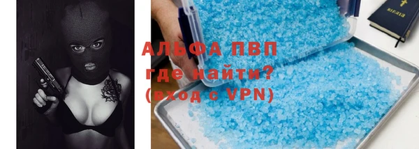стафф Елизово