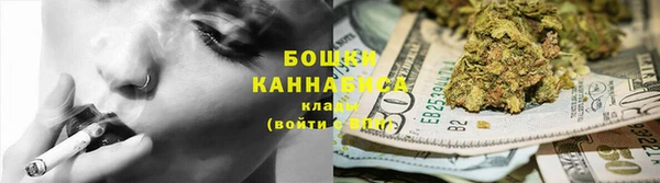 стафф Елизово
