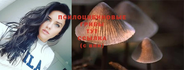 альфа пвп Заводоуковск