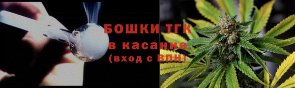стафф Елизово
