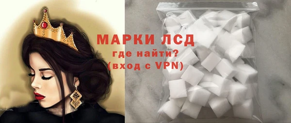 стафф Елизово