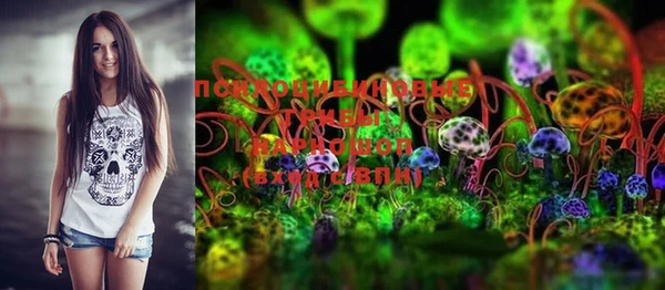ECSTASY Елабуга