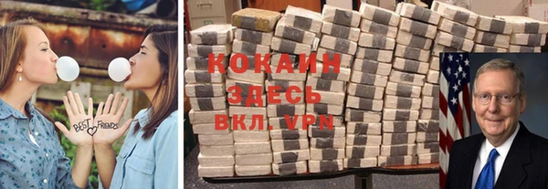 стафф Елизово