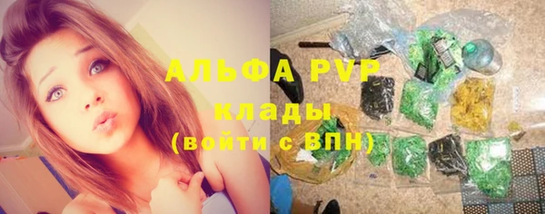 стафф Елизово