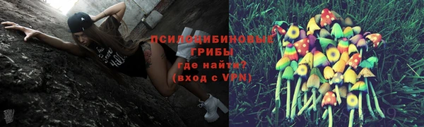 стафф Елизово