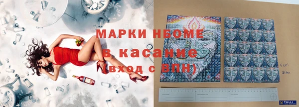 стафф Елизово